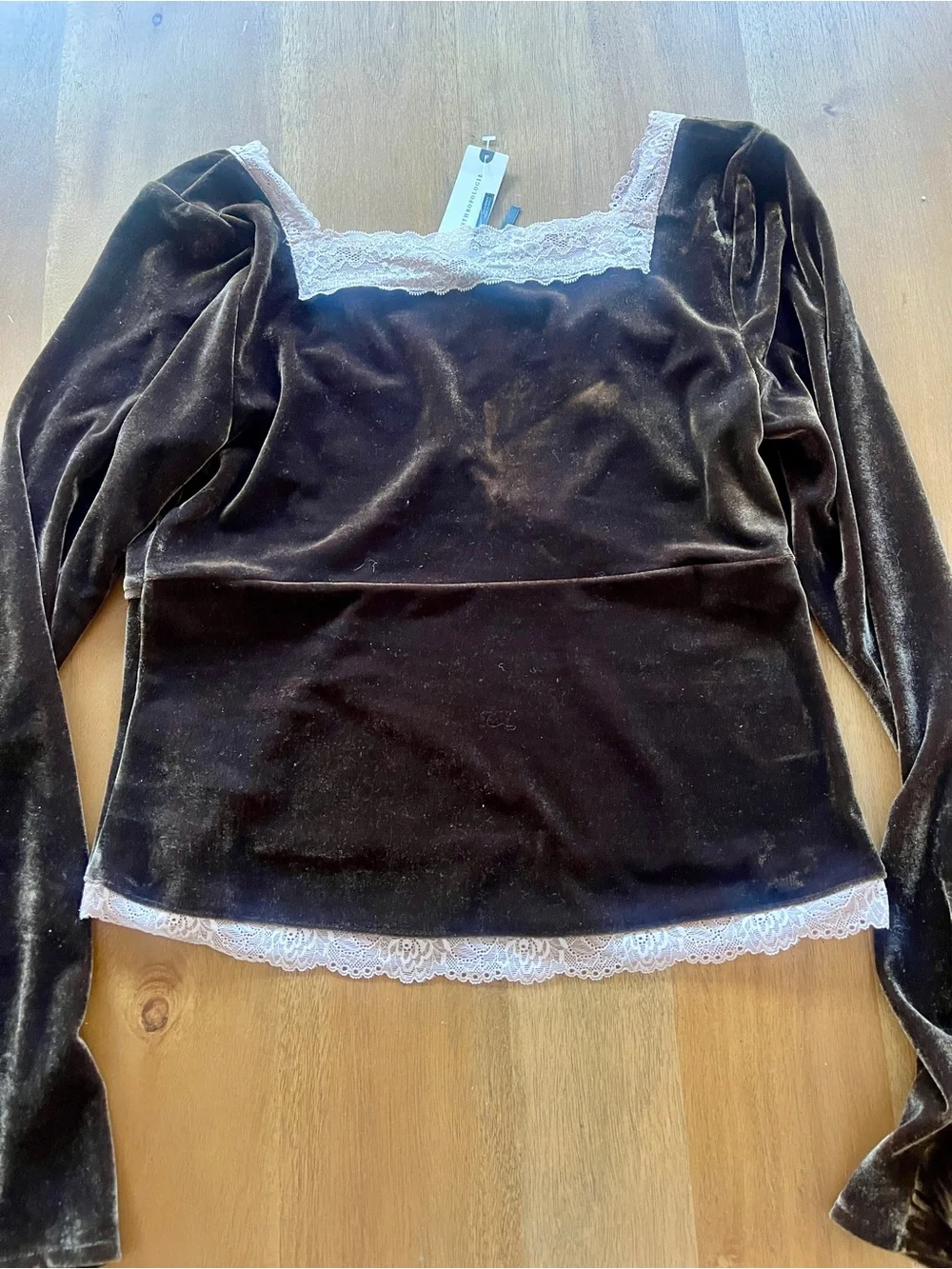 BNWT Anthropologie Velvet/Lace Blouse